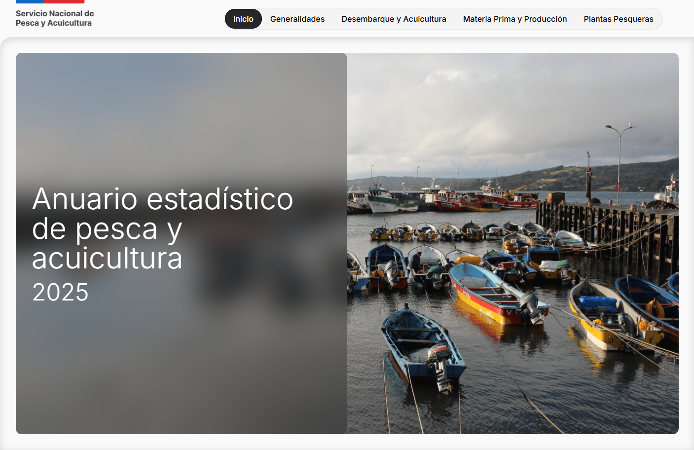 imagen proyecto